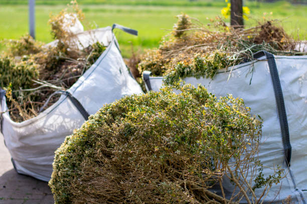 Best Carpet Removal and Disposal  in Ocean View, DE